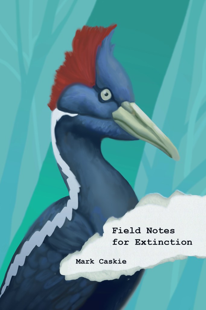 Cover of Field Notes for Extinction